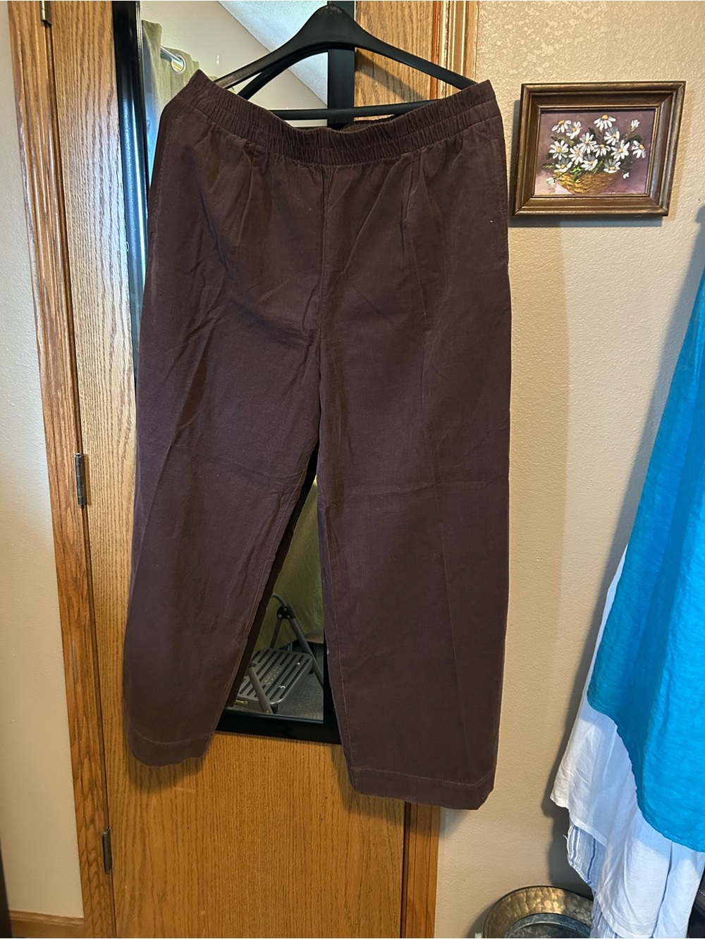 LOFT Chocolate Brown Wide-Leg Pull-On Pants